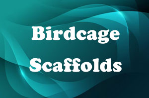 Birdcage Scaffolds St Blazey